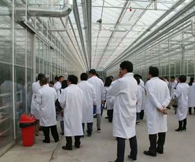 永通科技亮相京津冀，共探蔬菜工厂化生产新路径